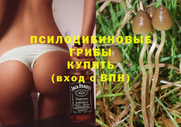 индика Верея